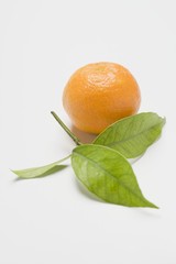 Clementine, leaves beside it