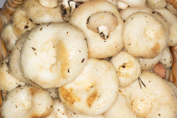 milk mushrooms