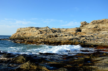 Fototapeta premium Лето на Побережье Баренцева моря