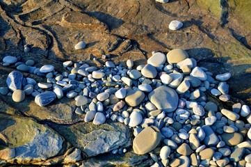 Лето на Побережье Баренцева моря