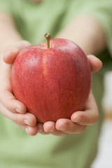 Child holding Royal Gala apple