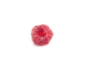 Raspberry Rubus idaeus isolated