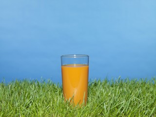 Glass of carrot juice on grass