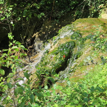 cascade10