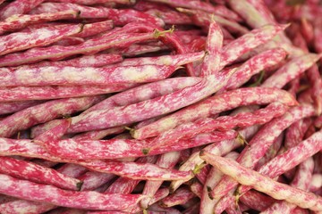 Borlotti beans (full-frame)