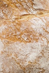 Ciabatta (detail of surface, full-frame)