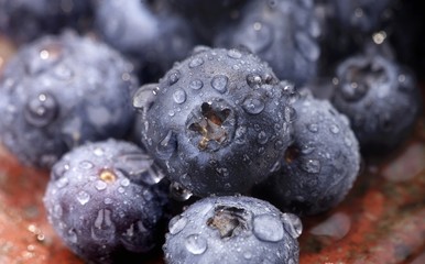Fresh blueberries with drops of water
