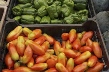 Plum tomatoes and green peppers in crates