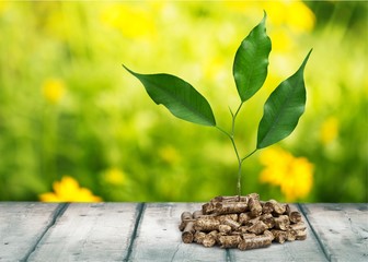 Biomass.