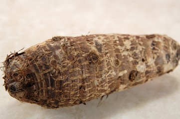 A taro root