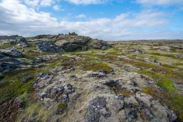 Lava field, Reykjanes peninsula,Iceland