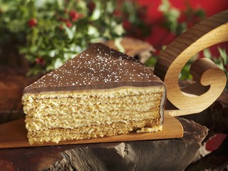 A piece of tree cake