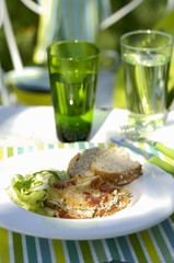 A portion of tomato and mozzarella lasagne