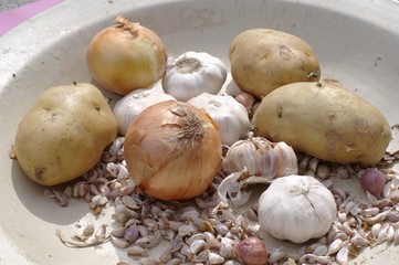 Garlic, onions and 'Bintje' potatoes