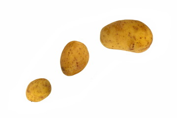 Fototapeta na wymiar drei kartoffeln auf weiss