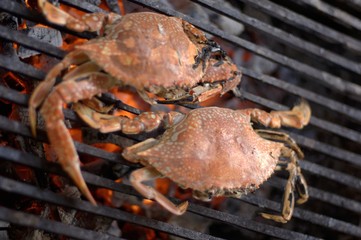 Crabs on a barbecue
