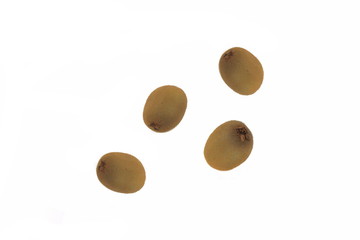 Kiwis auf weissem hintergrund