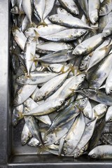 Mackerel at a market in Bangkok