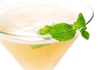 Cocktails Collection - Paradise