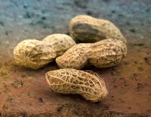 Four peanuts on brick