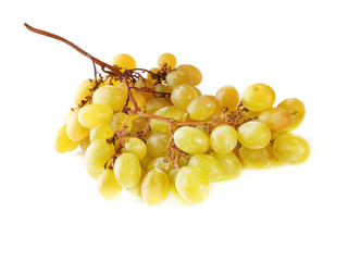 White grape