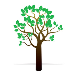 Color Tree and Green Leafs. Vector Illustration.