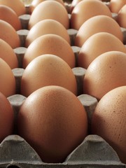 Brown Eggs in a Cardboard Carton