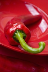 Chillies on and in front of a red dish