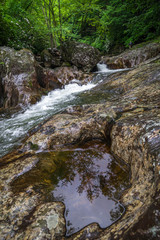 The reflection of the sky and trees in the puddle along the West Fork River in the Blue Ridge Mountains of North Carolina in the lush summer season