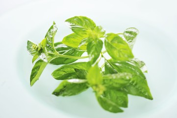 A plate of fresh Thai basil