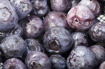 Rotten blueberries (close-up)
