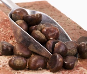 Sweet chestnuts in and beside scoop