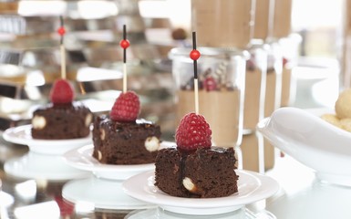 Brownies topped with chocolate glaze and raspberries
