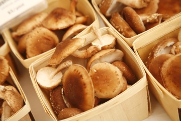 Cartons of Organic Shiitake Mushrooms at Farmers Market