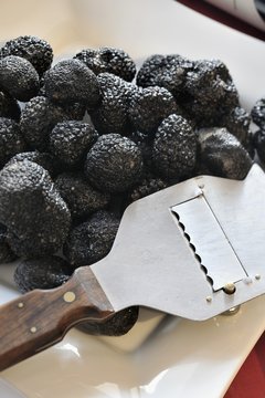 Fresh black summer truffles from Abruzzo with a truffle slicer