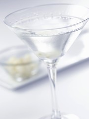 Gin Gibson Cocktail in a Stem Glass