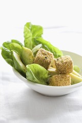 Breaded tofu on a bed of salad