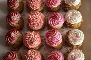 Rows of cupcakes (seen from above)