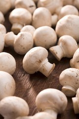 Lots of fresh mushrooms