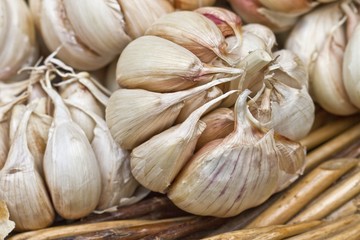 Garlic bulbs in a basket at a market (Fuitnchal, Madeira, Portugal)