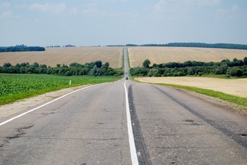 дорога между полями