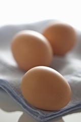 Three Brown Eggs