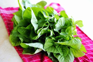 Thai spinach
