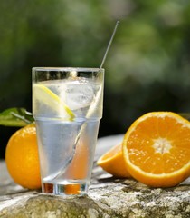 Gin and tonic with oranges