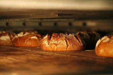 Loaves of rye-wheat bread in bakers oven