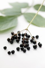 Elderberries