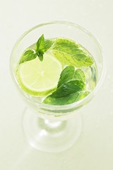 A Hugo cocktails with mint leaves and lemon slices