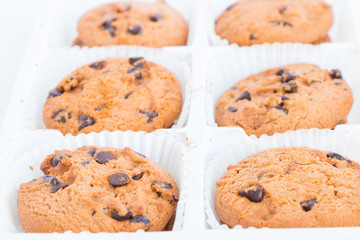 cookies on white background.