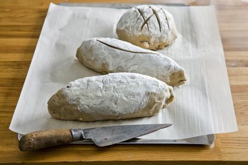 Unbaked rolls on grease-proof paper