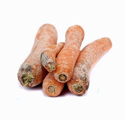 Mouldy carrots